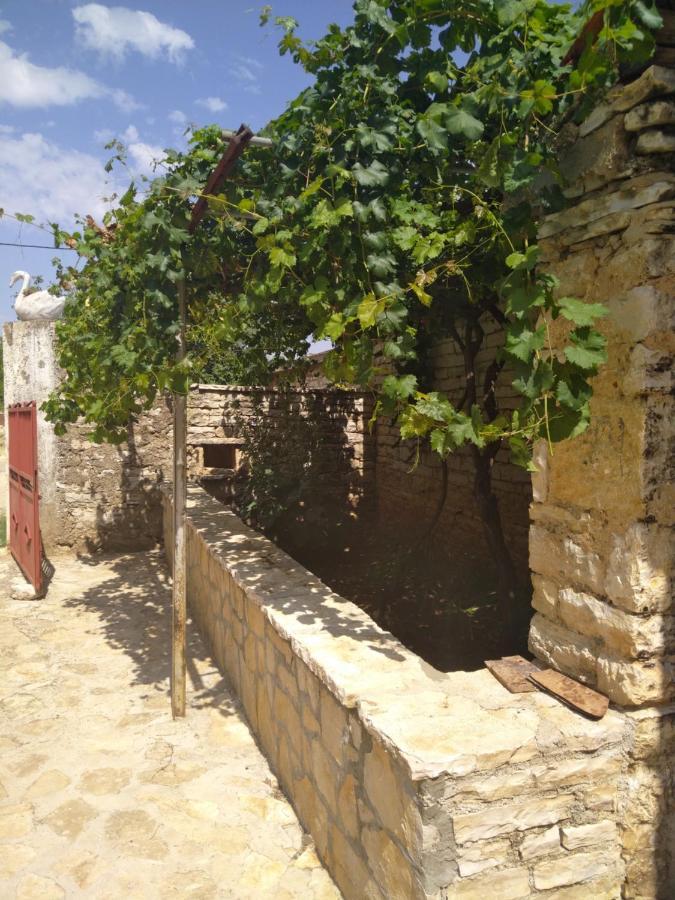 Appartamento Viduka House Pridraga Esterno foto